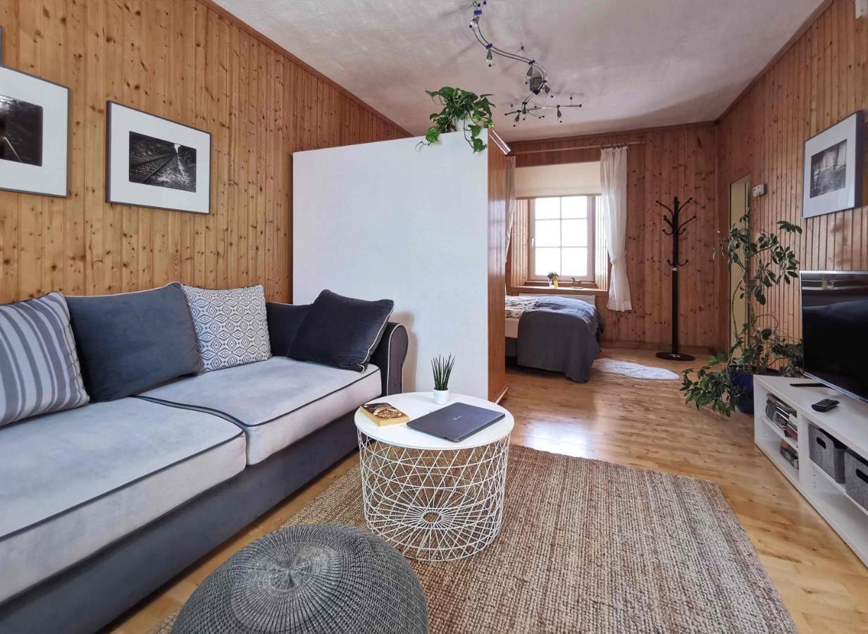 Ferienwohnung Himmelberg 80M2 In Der Altstadt Und Toll Fuer Familien クラーゲンフルト エクステリア 写真